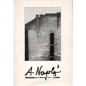 Barna-Kenedi-Sulyok-Várady: A Napló 1977-1982