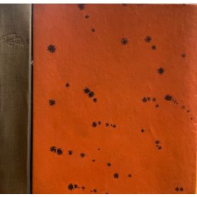   Darázs-Györe-Imre(szerk.): Tűz-tánc,Fiatal költők antológiája