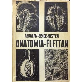 Ábrahám-Bende-Megyeri: Anatómia-élettan