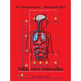   Dr. Csoknyai István - Doholuczki Tibor: Több, mint hidraulika