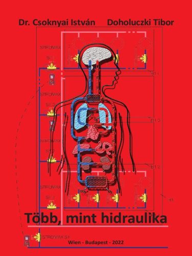 Dr. Csoknyai István - Doholuczki Tibor: Több, mint hidraulika