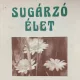Sugárzó élet - Válogatás Slachta Margit testvér gondolataiból