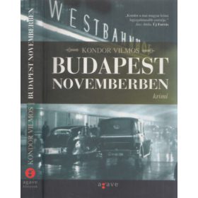 Kondor Vilmos: Budapest novemberben
