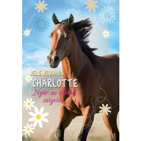 Nele Neuhaus: Charlotte 1. - Nyár az álmok szigetén