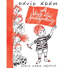 Dávid Ádám: A Virág utcai focibajnokság