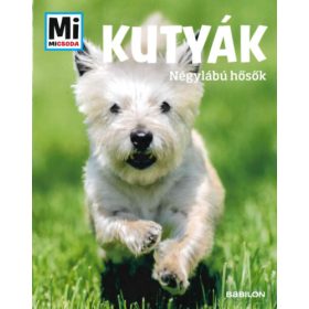 Christine Paxmann: Kutyák - Négylábú hősök