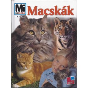 Reiner Dr. Köthe: Macskák (Mi micsoda)
