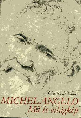 Charles de Tolnay: Michelangelo Mű és világkép