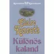 Claire Kenneth: Különös kaland