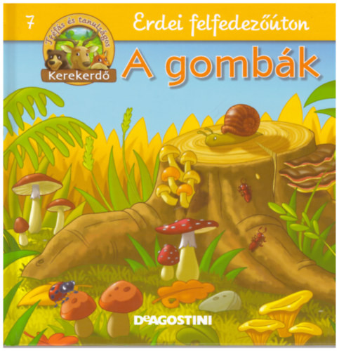 Feryal Kanbay - Stephan Gürtler: Erdei felfedezőúton 7.- A gombák (Kerekerdő)