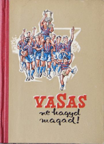 Terényi László Hoppe László: Vasas ne hagyd magad!