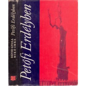 Dávid Gyula-Mikó Imre: Petőfi Erdélyben