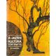 Tazava-Macsubara-Okuda: A japán kultúra története