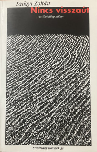 Szűgyi Zoltán: Nincs visszaút