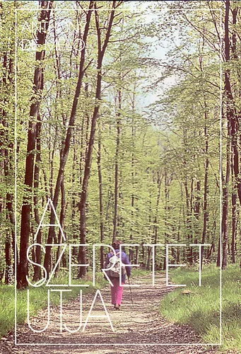 Anthony De Mello: A szeretet útja
