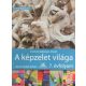Imrehné Sebestyén Margit: A képzelet világa 7. o. (Rajz és vizuális kultúra) - AP-072202