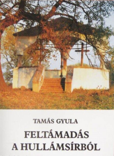 Tamás Gyula: Feltámadás a hullámsírból