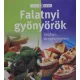 Falatnyi gyönyörök - Sietősen, de egészségesen