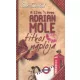 Sue Townsend: A 13 és 3/4 éves Adrian Mole titkos naplója