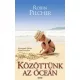 Robin Pilcher: Közöttünk az óceán