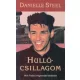 Danielle Steel: Hullócsillagom