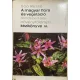 Soó Rezső: A magyar flóra és vegetáció rendszertani növényföldrajzi kézik. VI.