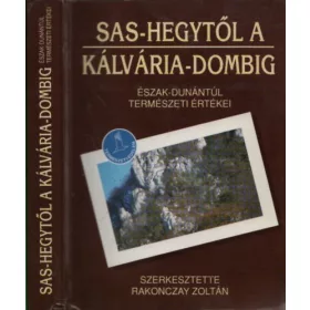 Rakonczay Zoltán: Sas-hegytől a Kálvária-dombig