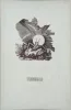 Mécs László: Mécs László összes versei 1920-1940 (számozott, aláírt)