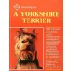 Grabovszky G.-Varga M.: A yorkshire terrier