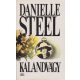 Danielle Steel: Kalandvágy
