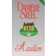Danielle Steel: A szellem