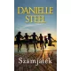 Danielle Steel: Számjáték