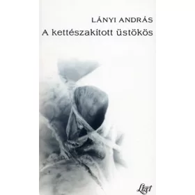 Lányi András: A kettészakított üstökös