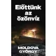 Moldova György: Előttünk az özönvíz