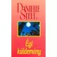 Danielle Steel: Égi küldemény