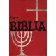 Képes Biblia - Szemelvényes szentírási szövegek fiataloknak