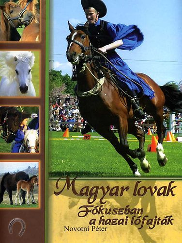 Magyar lovak - fókuszban a hazai lófajták - Novotni Péter