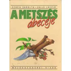 A metszés ábécéje - Valló László; Czáka Sarolta