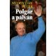 Polgár a pályán - Medgyessy Péter