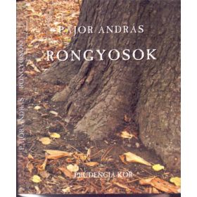 Rongyosok - Pajor András