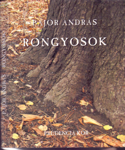 Rongyosok - Pajor András