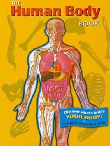 The Human Body Book - With 4 Acetate Body Charts - Bargain Price