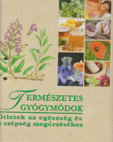 Természetes gyógymódok - Ötletek az egészség és a szépség megőrzéséhez (11 kártyacsomag, 4 db. gyűrűsmappában) - 