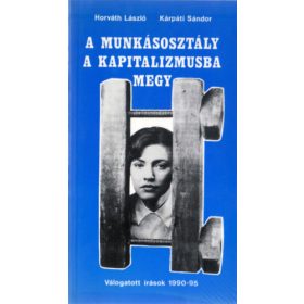   A munkásosztály a kapitalizmusba megy (Válogatott írások 1990-95) - Horváth lászló - Kárpáti Sándor