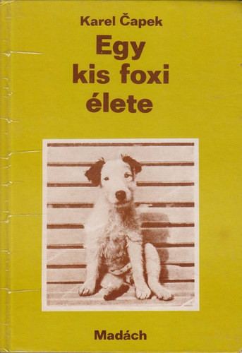 Egy kis foxi élete - Capek Karel