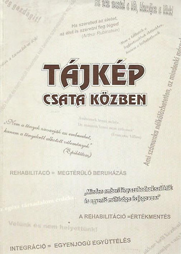 Tájkép csata közben - Chikán Csaba