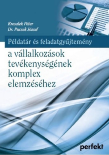 Példatár és feladatgyűjtemény a vállalkozások tevékenységének komplex elemzéséhez - Kresalek Péter, Dr. Pucsek József