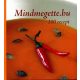 Mindmegette.hu - 100 recept - 