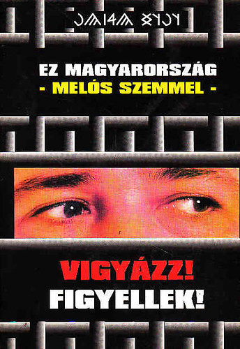 Ez Magyarország -melós szemmel- ( Vigyázz! Figyellek! ) - Tóth László