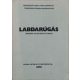 Labdarúgás - Segédedző tanfolyam gyakorlati táborának szakmai segédanyaga (Második, átdolgozott kiadás) - Nagy János